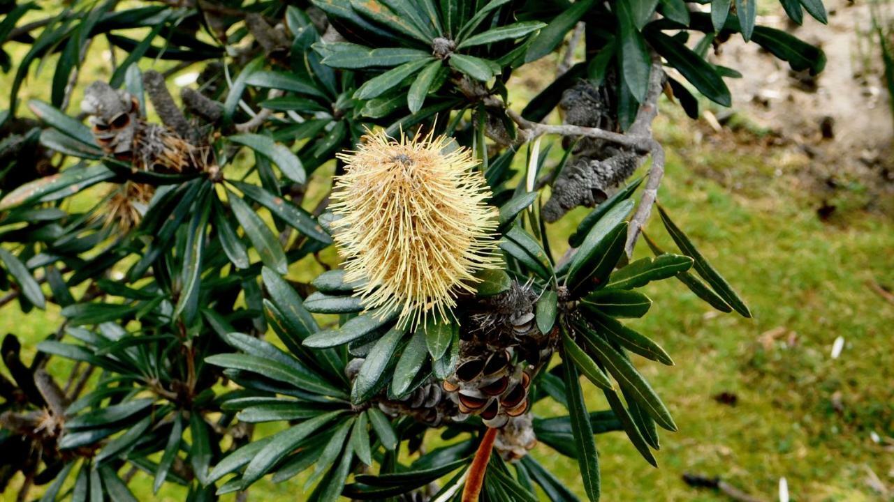 Appartamento 43 Degrees Bruny Island Adventure Bay Esterno foto
